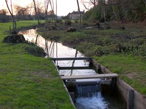 River Rother fishing on the Leconfield Estates